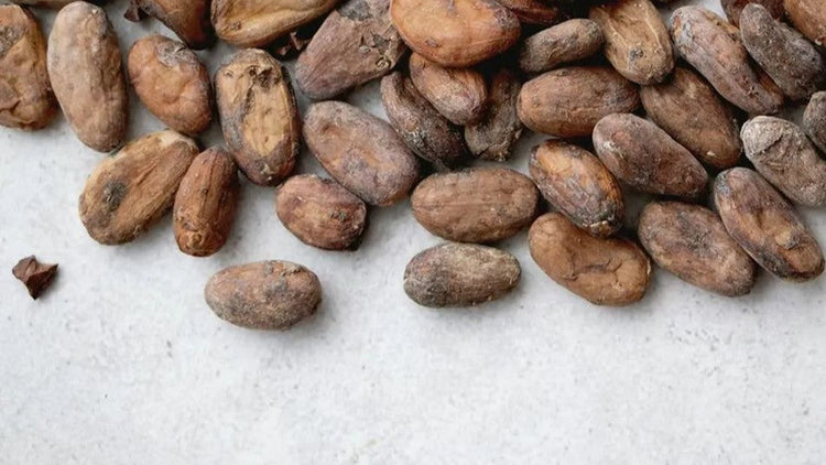 Cacao Medicine
