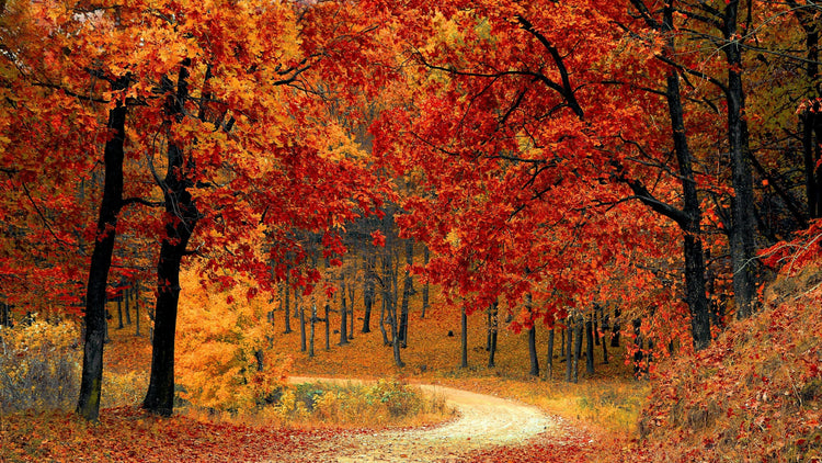 Mabon